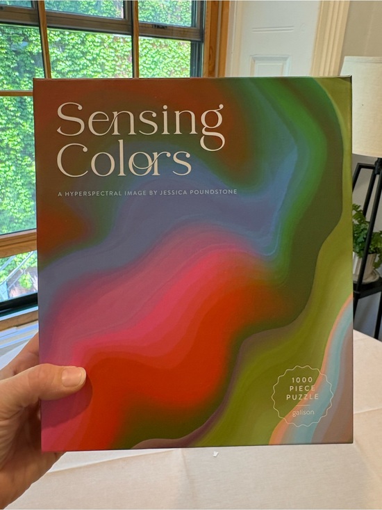 Galison Other - Sensing Colors Art Puzzle - Multicolor